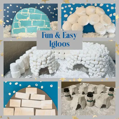 Build DIY Igloo Blocks - Build Basic