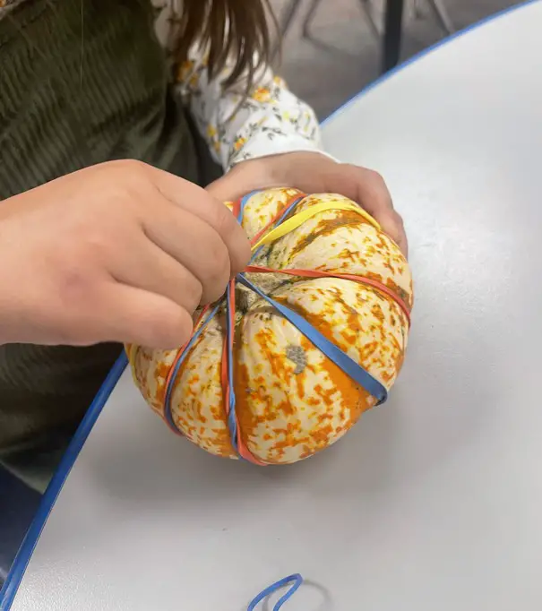 Gourd rubber band fine motor activity